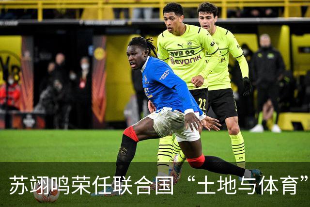 苏翊鸣荣任联合国“土地与体育”宣传大使